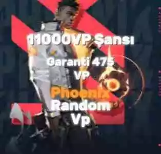 Valorant Premium Phoenix Random Vp