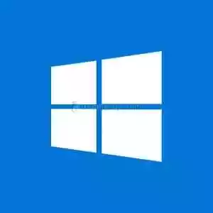 Windows 10/11 Pro Key Lisans Anahtarı