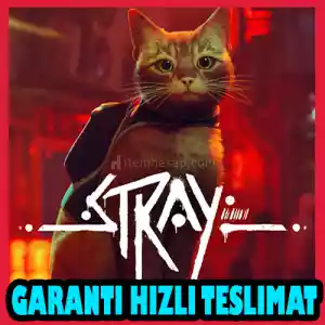 Stray + Garanti & [Anında Teslimat]
