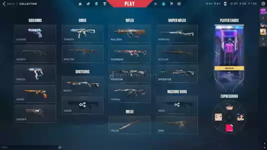 Valorant Smurfluk Kelebekli Hesap Guvenilir Hizli Teslimat