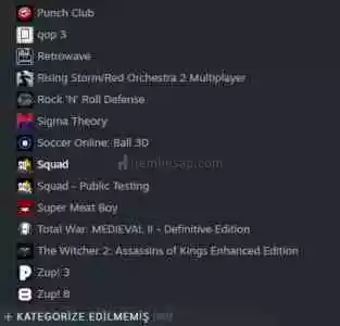 Steam Kişisel Hesap(48 Parali Oyun)