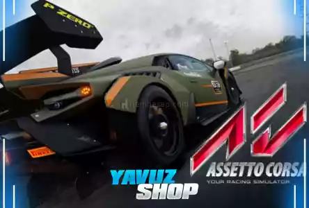 Assetto Corsa + Garanti