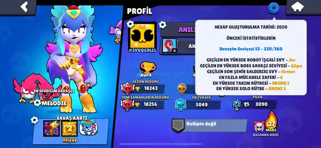 2020 Mailli Hesap Premium