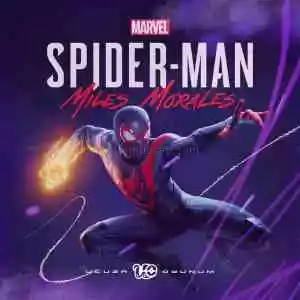 Hızlı Teslim - Marvel's Spider-Man Miles Morales