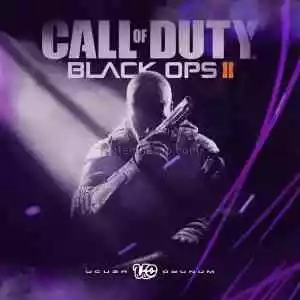 Hızlı Teslim - Call Of Duty Black Ops 2