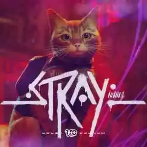 Hızlı Teslim - Stray