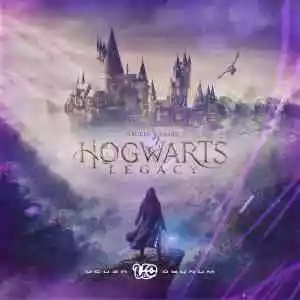 Hızlı Teslim - Hogwarts Legacy