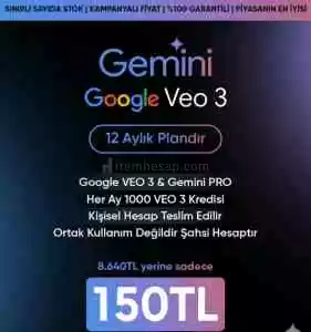 Gemini Pro 1 Yıllık Pro hesap