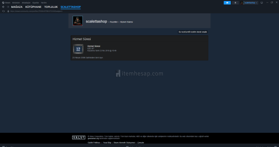 Steam 20 Yillik Koleksiyonluk Hesap