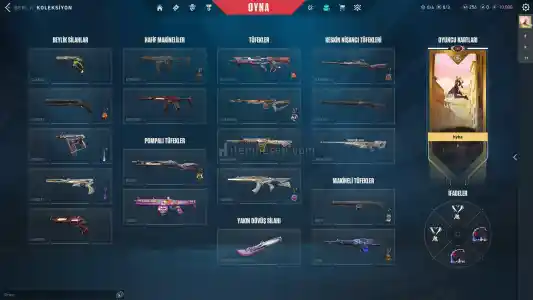 9000 TL Yatirilmiş Mainlik Hesap