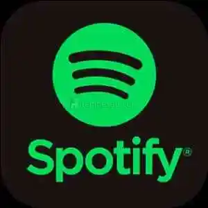 2 Aylık Spotify Premium Hesap