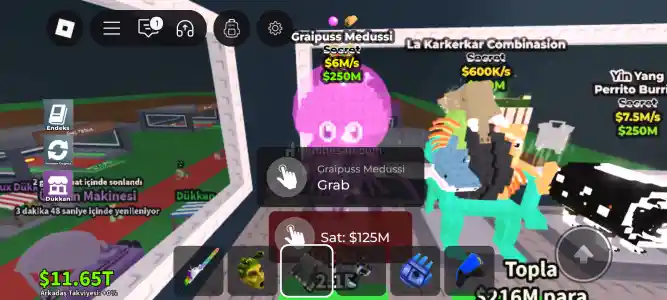 Graipus medisuni pet