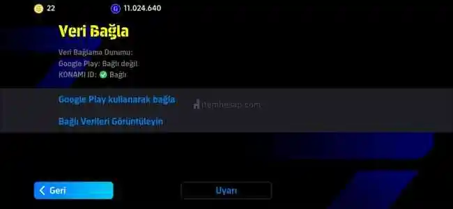 3160 KG , Tek Bağ Hesap ,107 Thuram