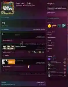 Steam 250 Oyunlu ANA Hesabim