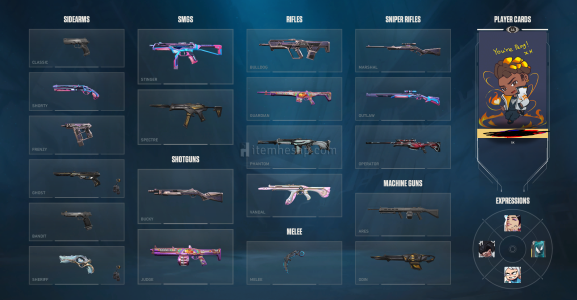 RGX Karambit - Evori Vandal - Mainlemelik Hesap