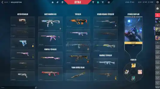 3 Bıçaklı 36 Skinli Premium Hesap