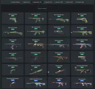 Valorant Champions Hesabi Satilik Koleksiyonluk!