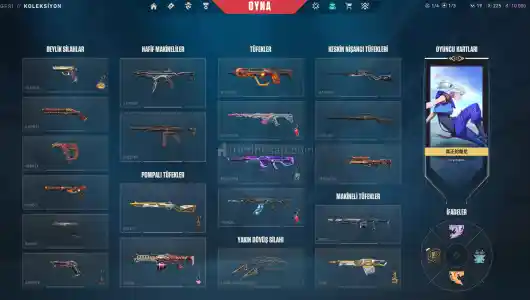 Valorant Premium Hesap