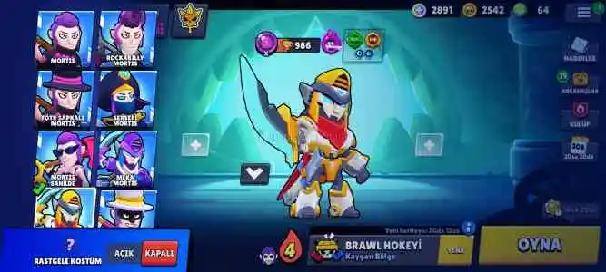 Brawl Stars Dolu Hesap