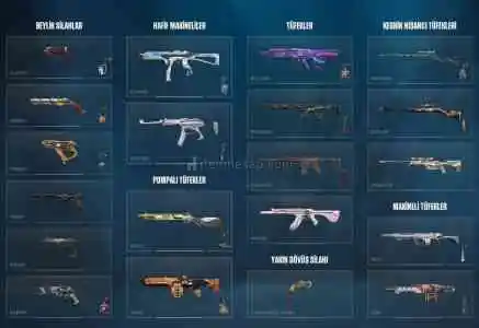 2022 Yılında 12500 Yatırılmış Mainlik Hesap