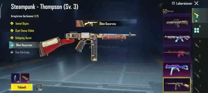 5 yıllık emek hesabım dolunun da dolusu 61 seviye 38 koleksiyon