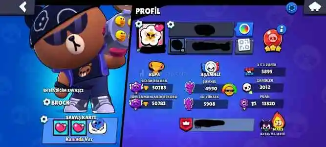 295 skin bs + 12 evrim cr