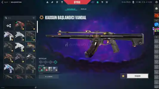 Champions Setli Mainlik Dolu Hesap