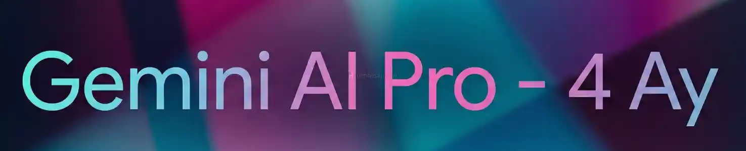 Gemini Pro 4 Ay