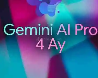Gemini Pro 4 Ay