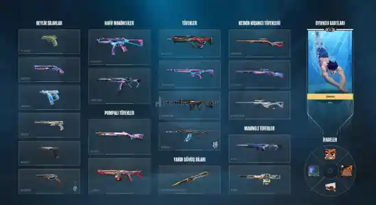 İlk Sahibinden Tertemiz Dolu Hesap