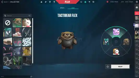 Full+Full Valorant Hesabı