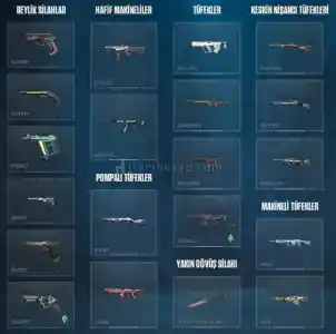 dolu main hesap her şey yazıyo oku