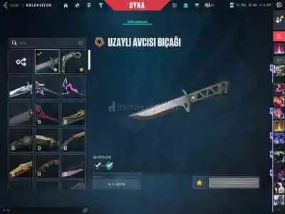 Valorant sevilen desenleri olan güzel hesap