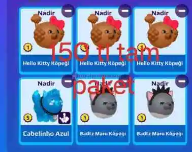 pkxd pet paketi 150tl