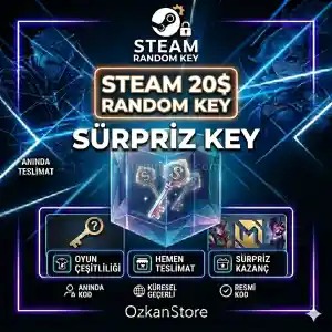 Steam 20$ USD Random Oyun Key | OzkanStore