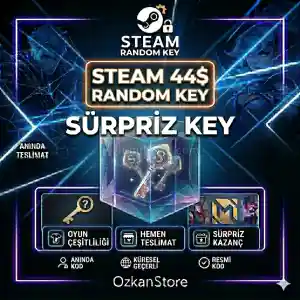 Steam 44$ USD Random Oyun Key | OzkanStore