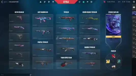 10K Yatirilmiş İLK Mailli Dopdolu Hesap!