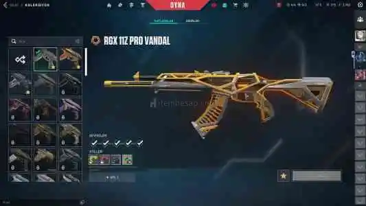 245 Seviye Iyon Karambit+ RGX PRO Vandalli Hesap