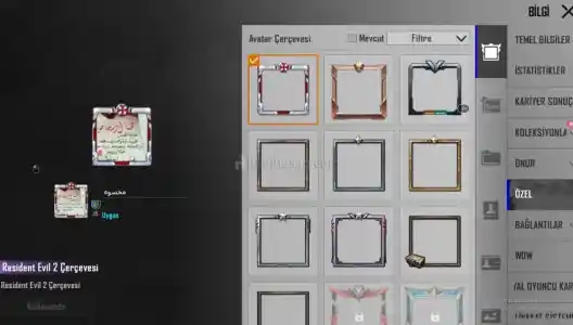 RE2 Çerçeve 54 Level TEK BAĞ 6 Efsaneli ÇOK Uygundan!