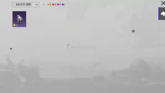 53 Level Şahin Yoldaş Açik Çok Uygundan!