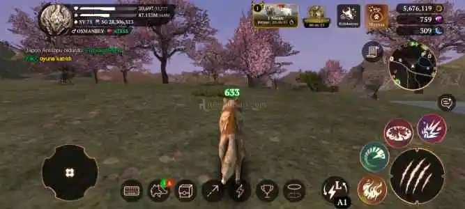 The wolf satılık hesap