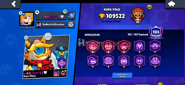 79 Adet Eski 35 ranklı Hiperlere kadar Max hesab