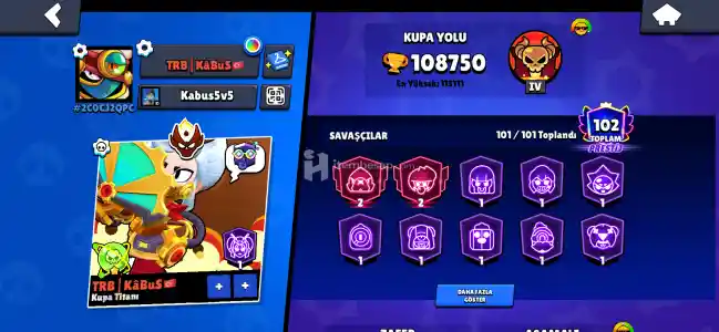 101/101 Max 79 adet eski 35 rank