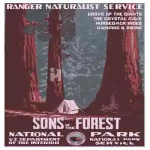 Sons of The Forest