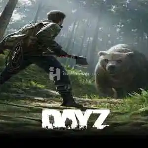 DayZ