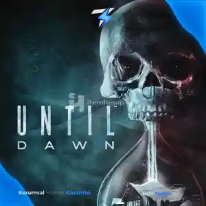 Until Dawn