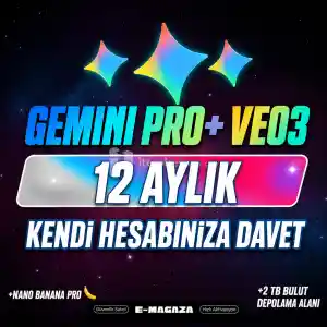 ⭐Kendi Hesabiniza: Gemini Pro & Veo 3 (12 Ay)⭐