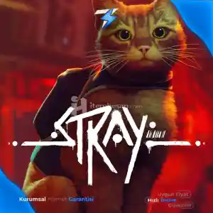 Stray