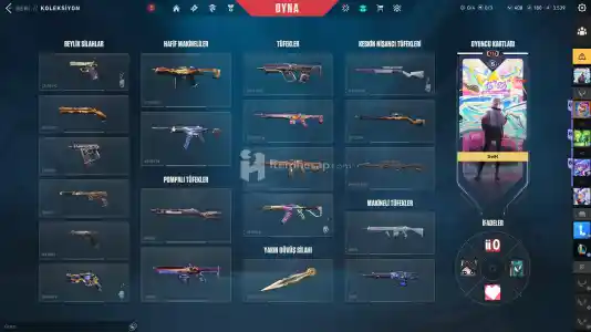 Kelebekli, Bol Skin Dolu Emek Hesap