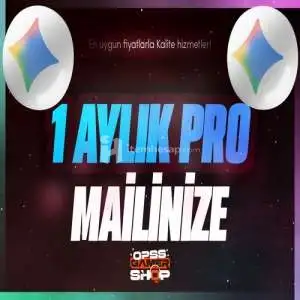 Gemini Pro + Veo 3.1⭐1 Ay⭐[Kendi Mailinize]